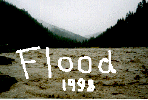 site Zakarpatian flood 1998