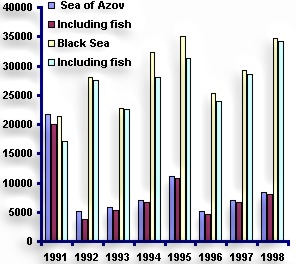 Image "Dynamics of Fish Catch"